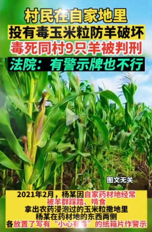 51网吃瓜网是合法的吗,揭秘网络舆论的边界  第2张