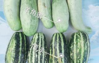 推特吃瓜网红叫什么  第2张