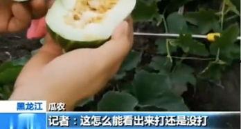 青海吃瓜网最新事件  第1张