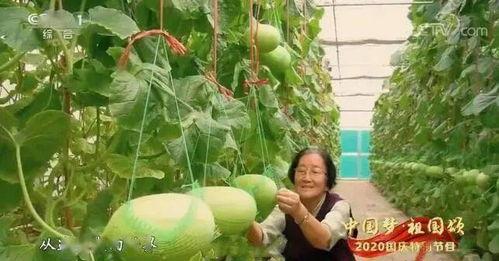 青海吃瓜网最新事件  第3张